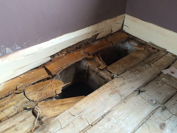 dry rot survey yorkshire floor timber collapse