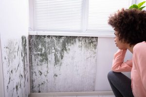 mould and housing disrepair in home with tenant