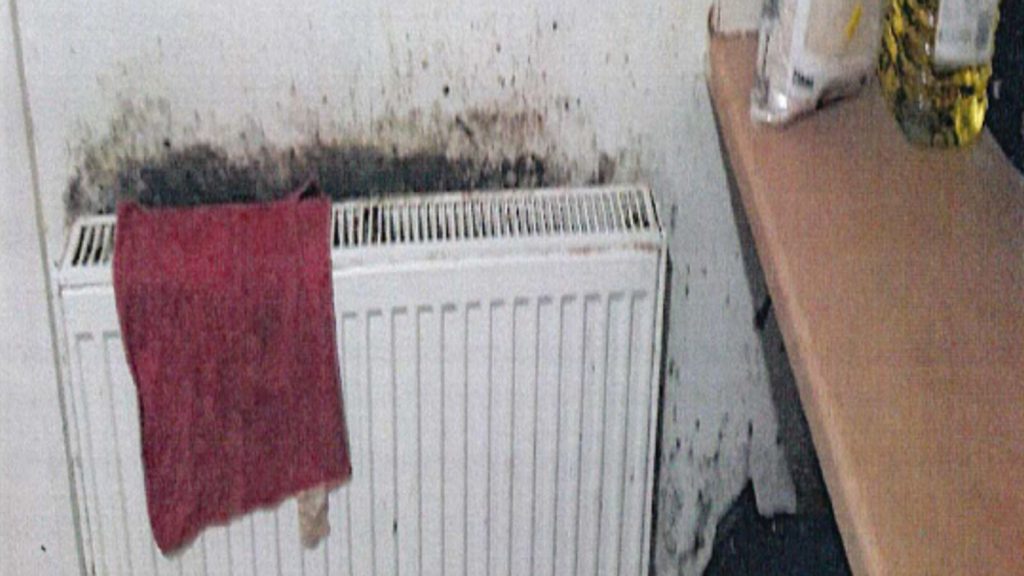 mould behind the radiator