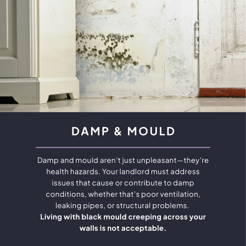 damp & mould - acceptable living conditions