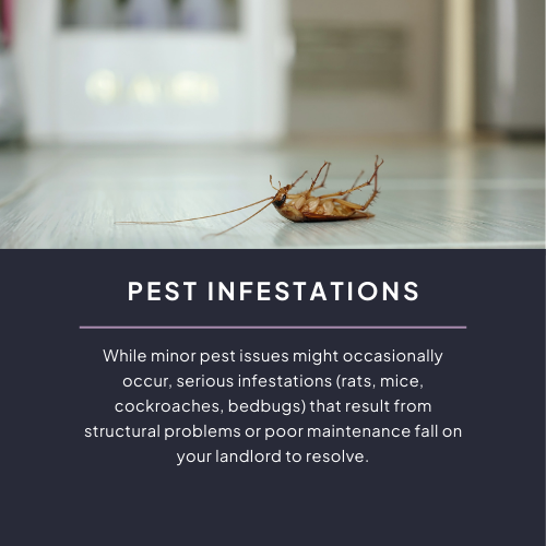Pest Infestations - acceptable living conditions