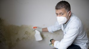 What are acceptable living conditions in the UK