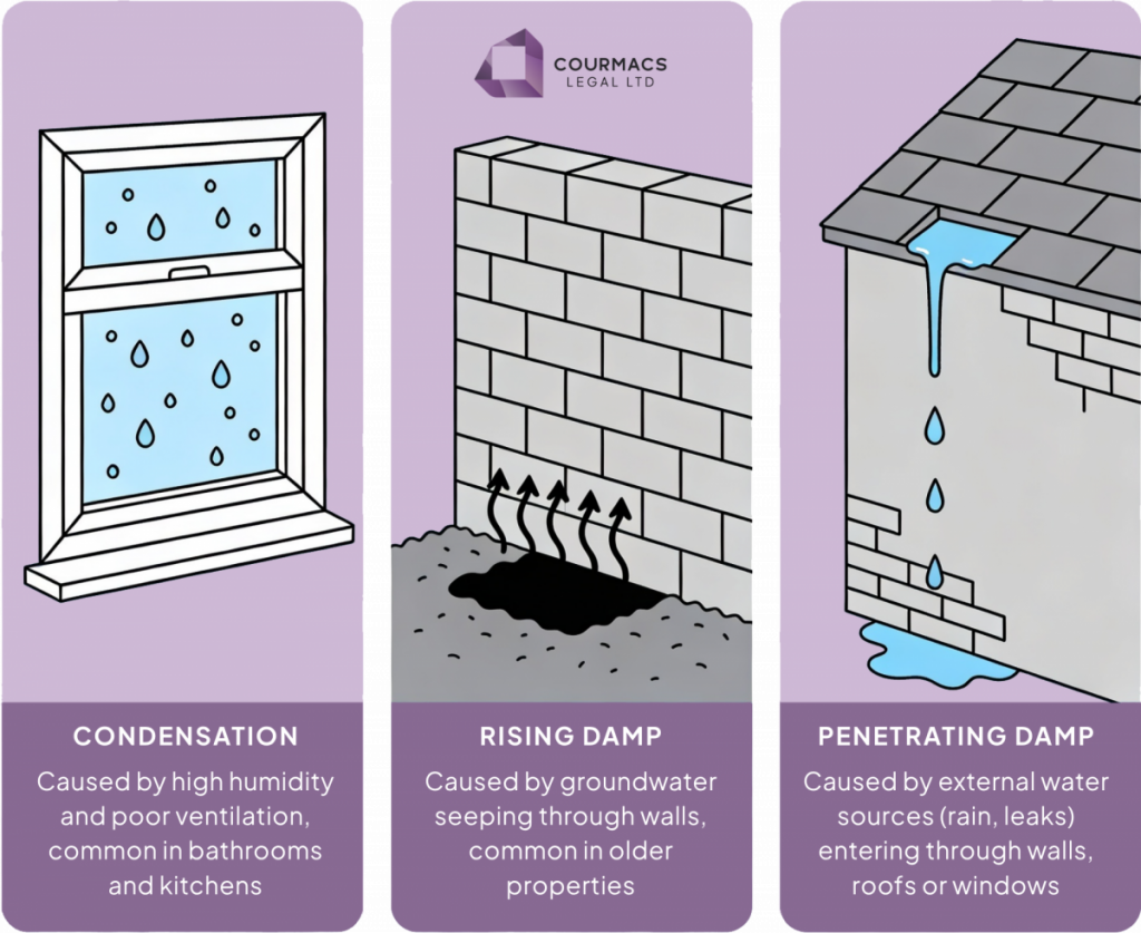 Infographic showing the three types of damp in a rented home: condensation, rising damp and penetrating damp