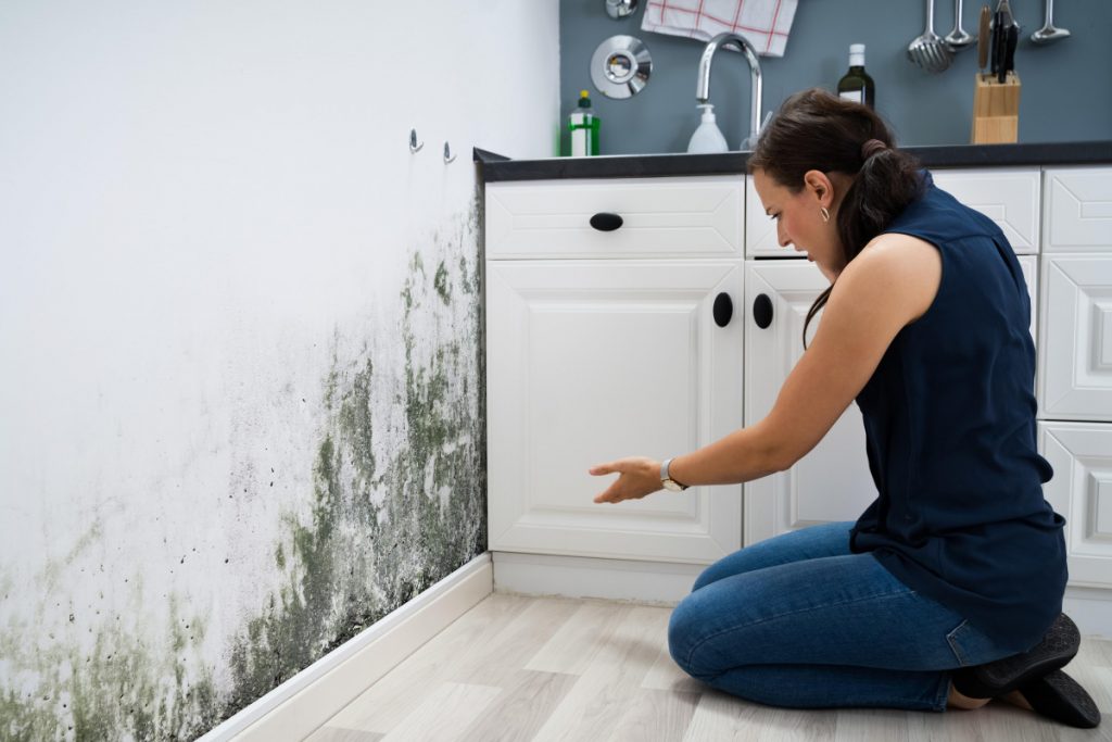 Tenant experiencing condensation and damp and mould in a rented home in the UK